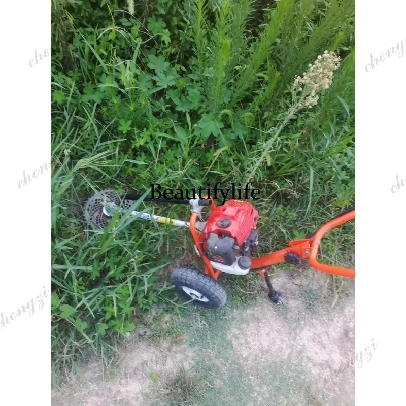 เครื่องตัดหญ้าแบบเข็น รุ่น L17 - Power Tools Equipment บทวิจารณ์และราคา